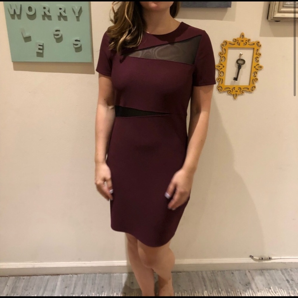 Express Bodycon Dress